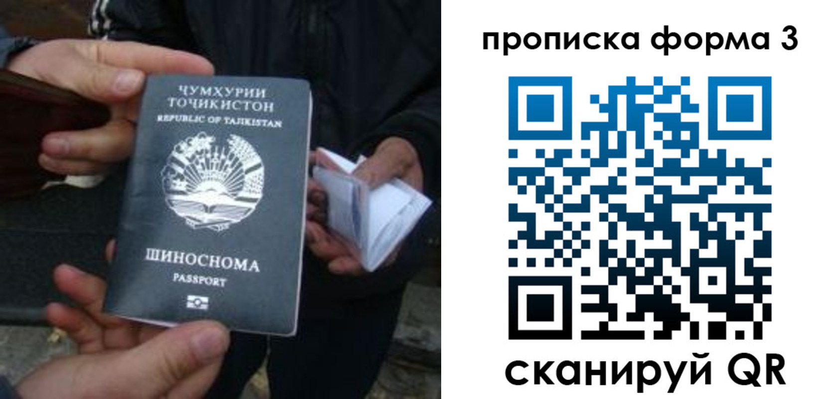 прописка 2025 в Шумихе